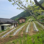 화천조은펜션