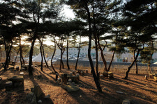 마음수련 메인센터