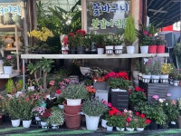 연수꽃식물원