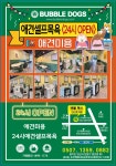 버블독스 안산초지점