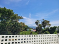 도제랑인제주