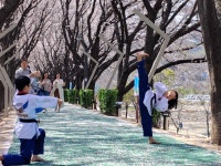 연세영일태권도장