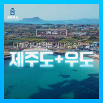 바른투어