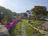 삽교원