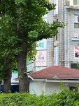 뉴이화음악교습소