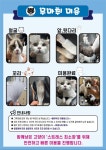 함께냥 대전점