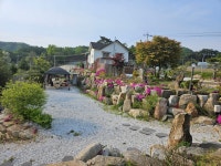 삽교원