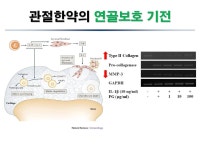 장형석한의원 서울서초교대역점