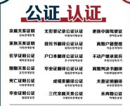 DMD월드여행사