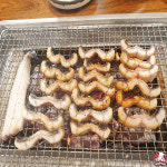 력 풍천장어