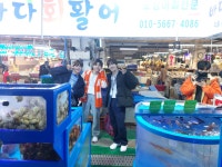 바다회활어