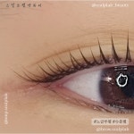 스칼프랩앤뷰티