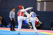 수영 박창용태권도