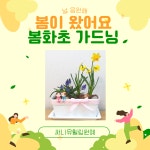 선유플레르