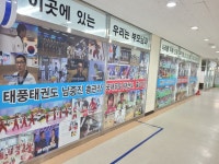 용인대 박사 태풍태권도