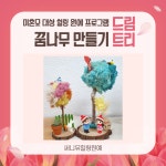 선유플레르