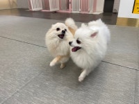 바우라움 수원신갈캠퍼스