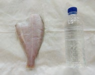 55호주야수산