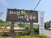 하드림해물칼국수