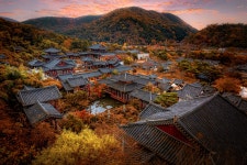 라이프월드투어