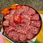 눈꽃한우
