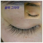 홍승지눈썹