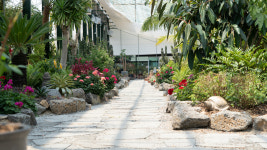 청화산한옥풀빌라