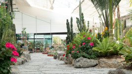 청화산한옥풀빌라