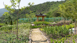 청화산한옥풀빌라