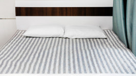 퍼피스테이 온수수영장 애견펜션