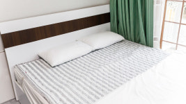 퍼피스테이 온수수영장 애견펜션