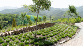 청화산한옥풀빌라