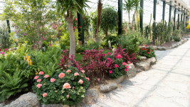 청화산한옥풀빌라