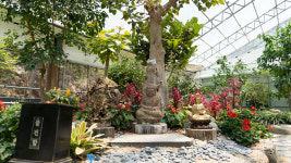 청화산한옥풀빌라