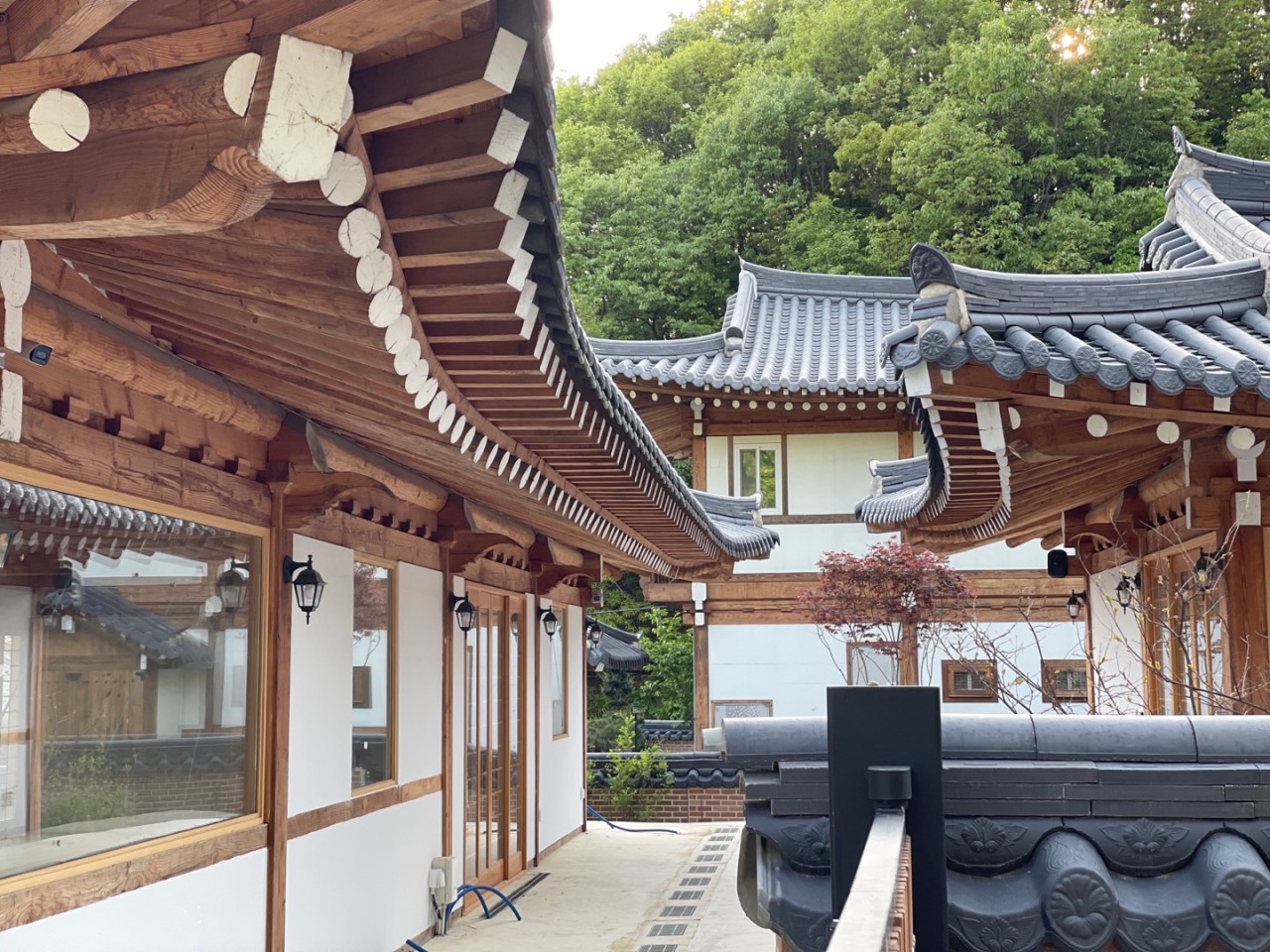 바이정은 이미지
