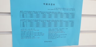 밀크숑애견샵