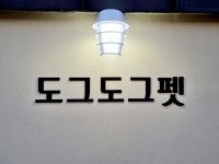 도그도그펫 애견유치원 호텔 미용