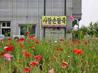 사랑손팥죽오천점