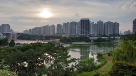 황금공인중개사사무소