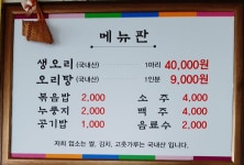 싱싱오리