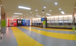 용인대 체육관
