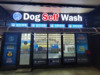 알파텍손세차장