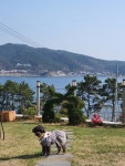 카페 웨이브 마산구산점