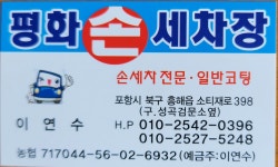 평화손세차장