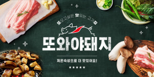 또와야돼지