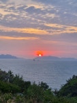 나로리뷰