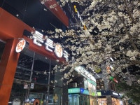 튼튼약국