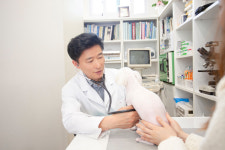 서경석동물병원