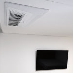 보랏빛 산채마을