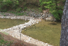 보랏빛 산채마을